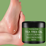 Aloe Tea Tree Foot Cream