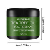 Aloe Tea Tree Foot Cream