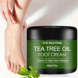 Aloe Tea Tree Foot Cream