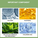 Aloe Tea Tree Foot Cream