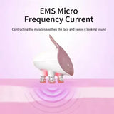 EMS 5-in-1 Facial Massager