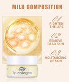 Hyaluronic Acid Lip Sleeping Mask