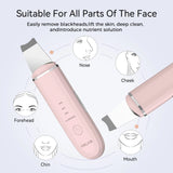 ANLAN Ultrasonic Skin Scrubber