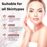 Mini Nano Facial Sprayer