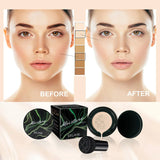 Magic Mushroom Air Cushion CC Cream