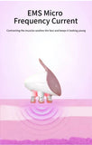 EMS 5-in-1 Facial Massager