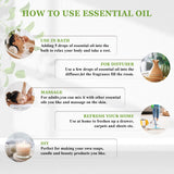 Essential Oil Blend Set
