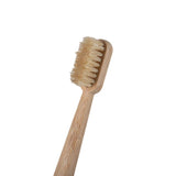 Bamboo Boar Bristle Toothbrush Set