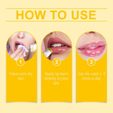 Lemon Ginger Lip Balm