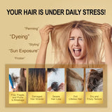 Argan Repair Hair Oil