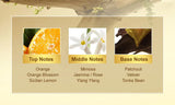Argan Repair Hair Oil