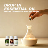 Lemongrass Essential Oil Aromatherapy