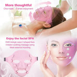 Electric Beauty Face Massager