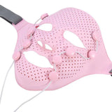 Electric Beauty Face Massager