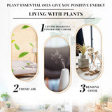 Essential Oils Set