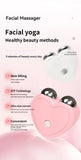 3D Microcurrent Face Massager