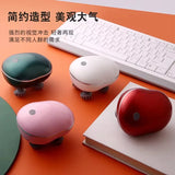 Electric Scalp Massager