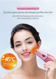Electric Silicone Facial Cleanser