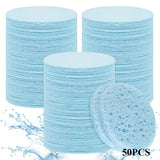 Compressed Facial Sponges